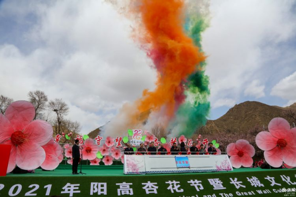 电商助力杏花节 杏林花香飘四方