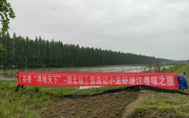 芬香618鲜美味——信良记小龙虾产地溯源
